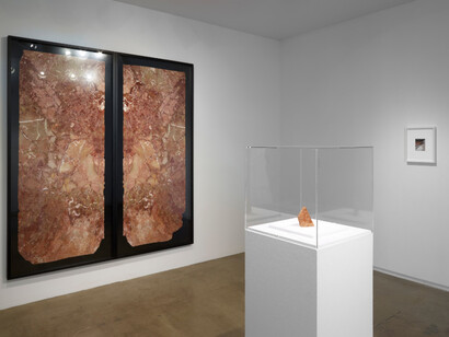 Amie Siegel. Courtesy of Blaffer Art Museum