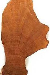 Chronometry. Courtesy of Deutsches Museum