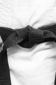 As artes marciais consistem no aprendizado de um conjunto de técnicas voltadas para a luta que podem ser aplicadas tanto no âmbito competitivo quanto para a defesa pessoal. Mas sua validade vai ainda além, podendo ajudar no desenvolvimento de qualidades imprescindíveis em todas as áreas da vida. Por exemplo, ao se preparar para uma luta, o praticante precisa desenvolver habilidades físicas, como a capacidade de socar e chutar, esquivar e mover-se agilmente e também aspectos mentais como planejamento de estratégias, coragem, resiliência e disciplina, qualidades estas extremamente necessárias para qualquer um que deseja crescer profissionalmente, por exemplo