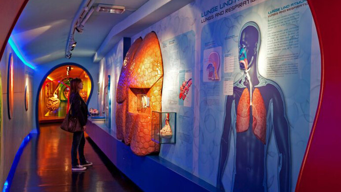 Journey into the Human Body. Courtesy of Haus der Natur 