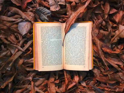 Libro sobre hojarasca: leer ejercita la imaginación, fomenta el interés por aspectos que nos resultan desconocidos, despierta la curiosidad y aumenta nuestra capacidad de concentración y abstracción