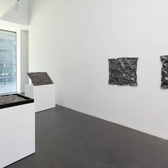 Sammy Seung-min Lee, Becoming motherland, exhibition view. Courtesy of MCA Denver