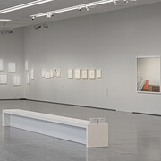 Maria Hahnenkamp, exhibition view. Courtesy of Lower Belvedere