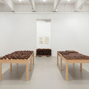 Anna Maria Maiolino. Courtesy of Hauser & Wirth