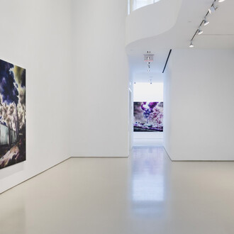 Gamaliel Rodríguez, La luz de alante (The light ahead), exhibition view. Courtesy of Sperone Westwater Gallery