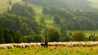 Pastori erranti