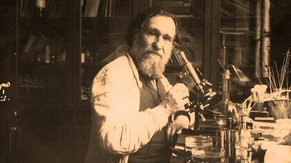 Elías Metchikoff (1844-1916)