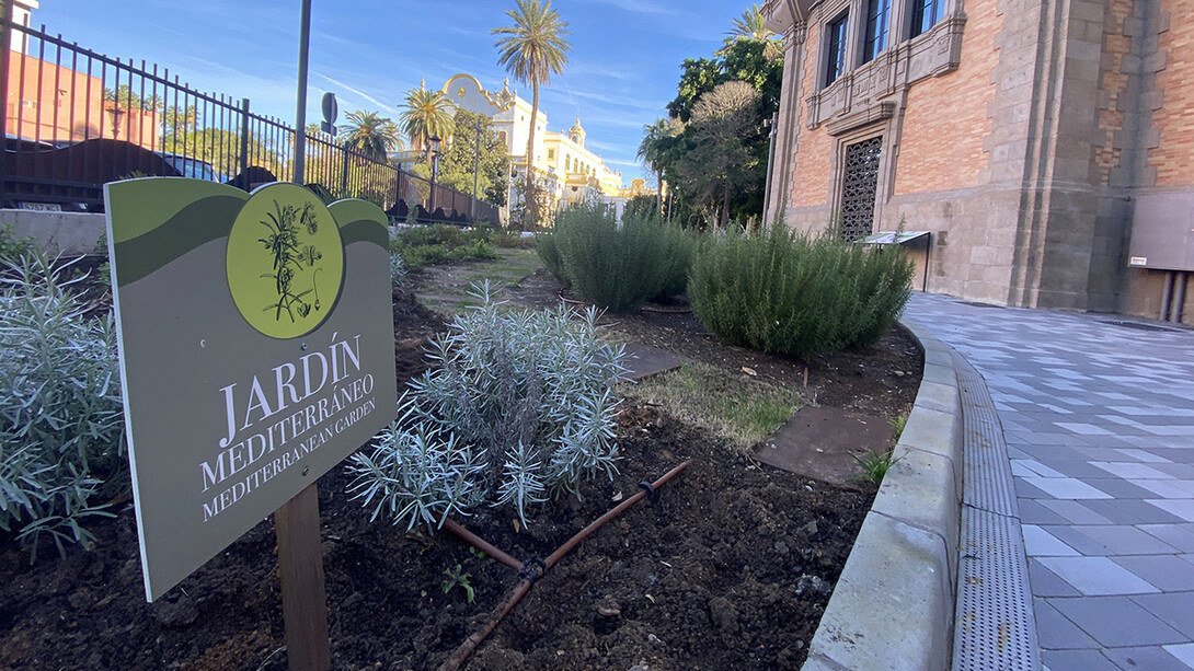 Paseos verdes. Los jardines y el cambio climático, vista de exhibición. Cortesía de Casa de la Ciencia