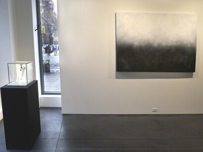 Polar Opposites. Courtesy of Nohra Haime Gallery 