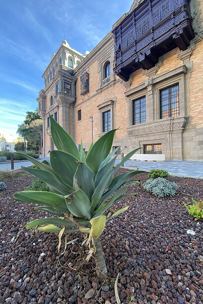 Paseos verdes. Los jardines y el cambio climático, vista de exhibición. Cortesía de Casa de la Ciencia