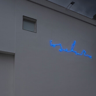 Agnieszka Kurant. Courtesy of Fortes D’Aloia & Gabriel
