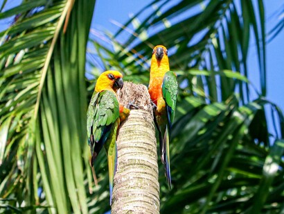 Agora, em novembro, o noticiário político entrou no clima de COP30. O evento que provavelmente deve lançar holofotes ao país por conta da política ambiental e a discussão tão necessária sobre as mudanças climáticas