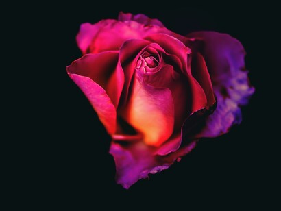 Sufrimos una auténtica pandemia de abusos y crímenes contra las mujeres