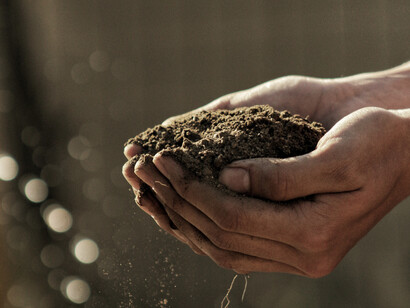 African soil