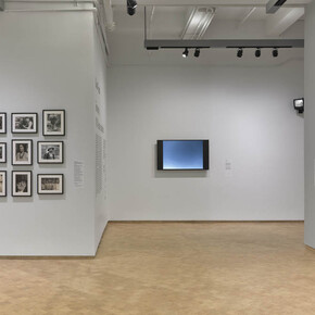 Coco Fusco, Tomorrow, I will become, exhibition view. Courtesy of el Museo del Barrio