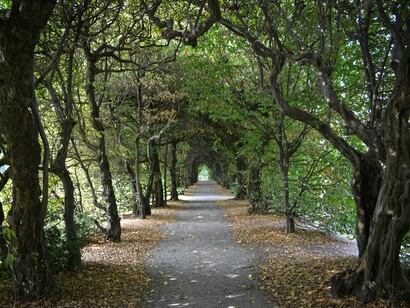 Uno scorcio suggestivo di Villa Panza, Varese, Italia