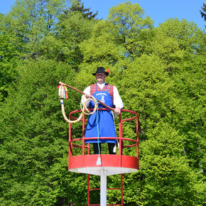 Matthew Cowan, Pokači, 2012, Single channel digital video (3min 59sec), Dimensions variable