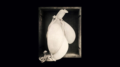 Eléonore Pironneau, Dans la boite, Tirage Giclée sur papier Hahnemühle 350g, 650 x 550 mm