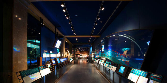 Gottesman Hall of Planet Earth. Courtesy of American Museum of Natural History