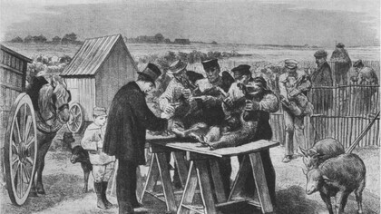 Dibujo que ilustra el famoso episodio de Pasteur en Pouilly-le-Fort