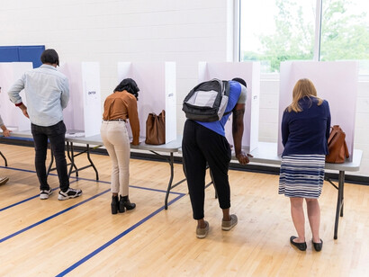 A back view of a diverse group of people voting in private booths