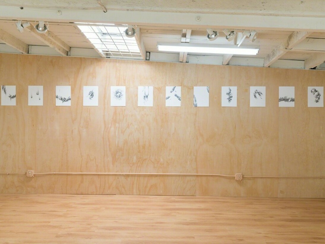 Manifestos, Exhibition view. Courtesy of Ochi Projects