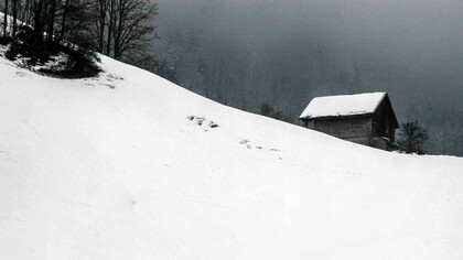 Winter day