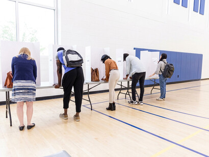 Diverse people voting in private booths, viewed from behind