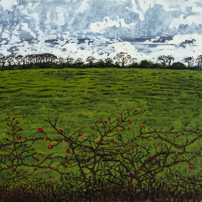 Alex Uxbridge, Hawthorn hedge