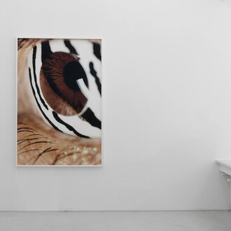 Re: Re: Black Macho. Courtesy of PPC Philipp Pflug Contemporary
