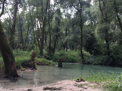 La presenza di alberi lungo il fiume è importante