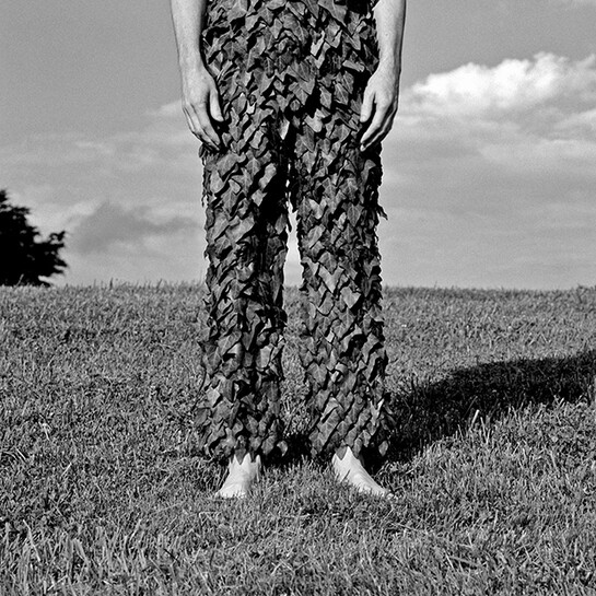 KEITH SHARP, IVY PANTS, 2005, GELATIN SILVER PRINT