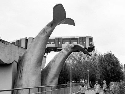 Hace diecisiete años De Akkers adquirió su detalle más vistoso: un par de colas de ballena que se levantan al final del búfer de seguridad de su apartadero