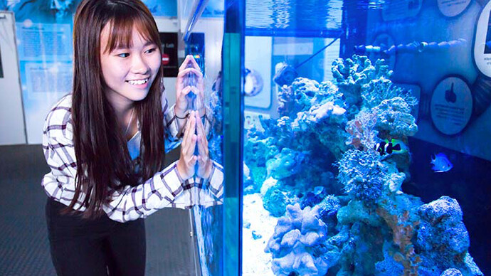 Singapore Innovations. Courtesy of Science Centre