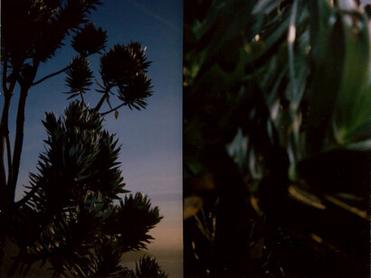 Broomberg & Chanarin, To Photograph the Details of a Dark Horse in Low Light