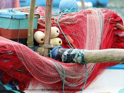 Watching Blue Whales in Mirissa © Gehan de Silva Wijeyeratne