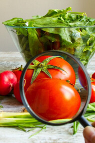 Cosa c'è dentro il nostro cibo?