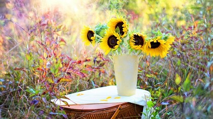 Apparecchiò sul tavolino in veranda, una tovaglia azzurrina tappezzata di margherite, due piatti di porcellana, due tazze dipinte a mano e un vaso di fiori raccolti. Sorseggiava in attesa