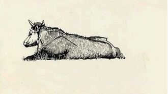 Sylvia Plath, disegno a penna su carta colorata, esposto per la prima volta alla mostra "Sylvia Plath" alla Mayor Gallery di Londra del 2011
