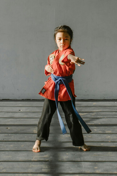 Arti marziali. Una storia di coraggio nel mondo delle arti marziali