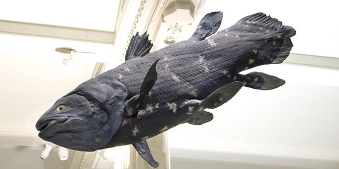 Hall of Vertebrate Origins. Courtesy of American Museum of Natural History