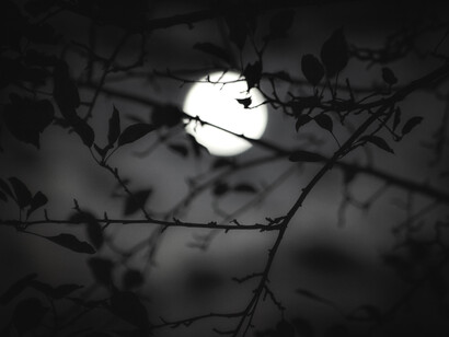 La luz de la luna iluminó por unos instantes el mar