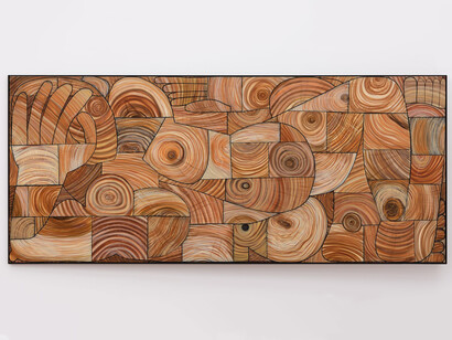 Schultze projects #5. Jana Euler, ausstellungsansicht. Mit freundlicher genehmigung des Museum Ludwig