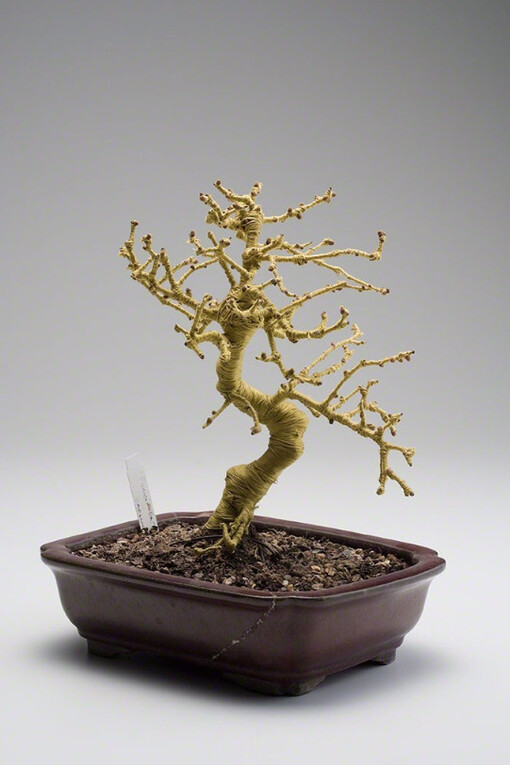Nature's Alchemy. Courtesy of bo.lee gallery
