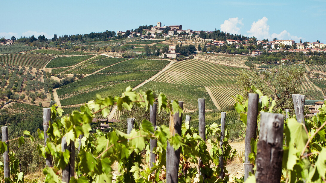 Il territorio