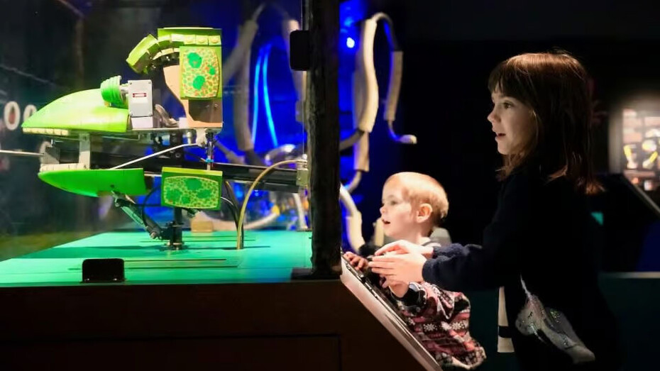 The robot zoo, exhibition view. Courtesy of Horniman Museum and Gardens