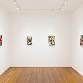 Cornelia Schulz, Synthesis, exhibition view. Courtesy of Paul Thiebaud Gallery