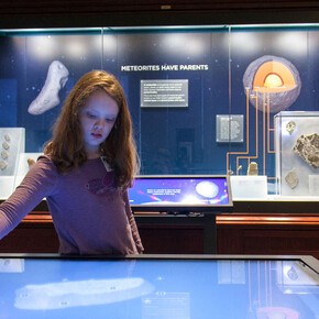 Meteorites. Courtesy of Field Museum