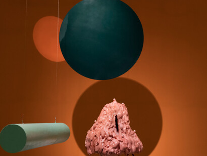 Tai Shani. Courtesy of Fondazione Sandretto Re Rebaudengo