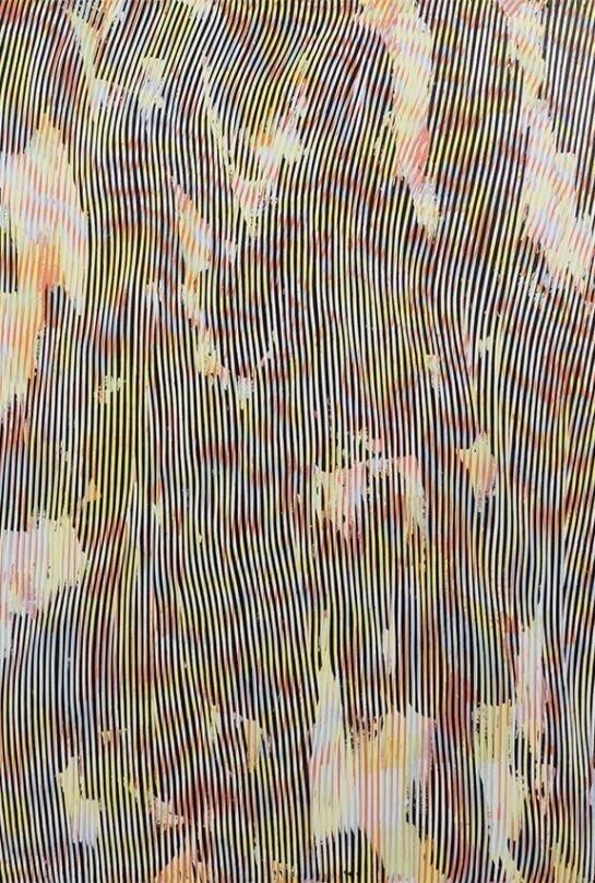 Julie Oppermann, 1312, 2013, Acrylic on canvas, 67 x 55 inches. Courtesy of Joshua Liner Gallery